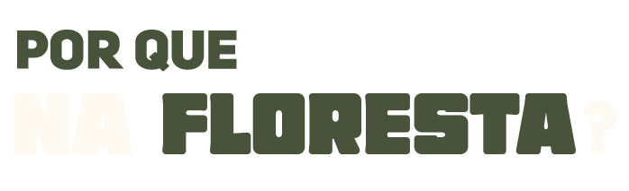 pq-na-floresta
